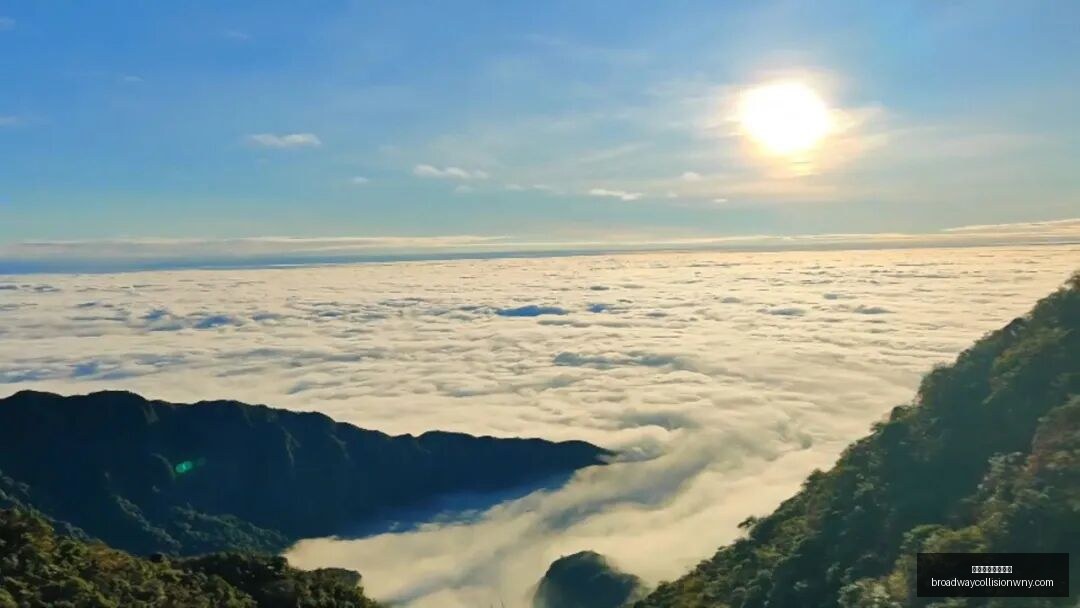 接管大脑后,人类智力集,体退化,威尼斯人在线赌场官网,威尼斯人在线赌场App,威尼斯人在线赌场下载,威尼斯人在线赌场登录,威尼斯人在线赌场平台