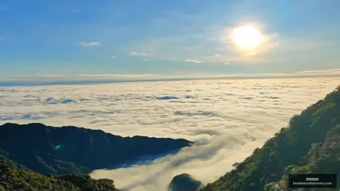 AI接管大脑，威尼斯人在线赌场平台，后，人类智力集体退化